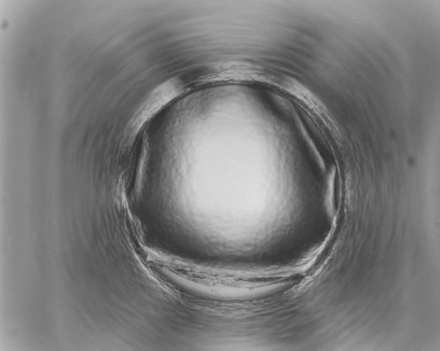 X0000059101241200510211624