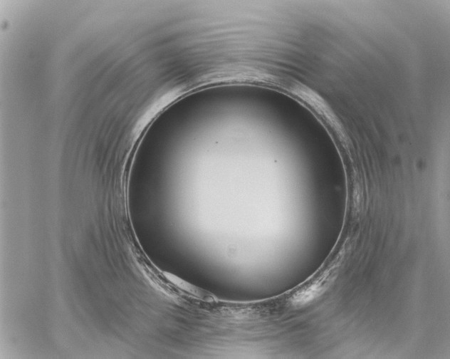 X0000059101242200510211624