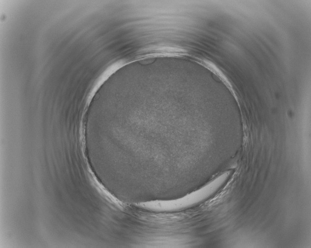 X0000059101243200510211624