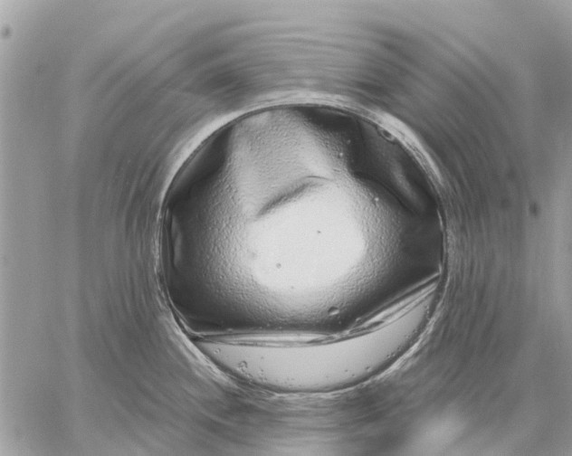 X0000059101244200510211624