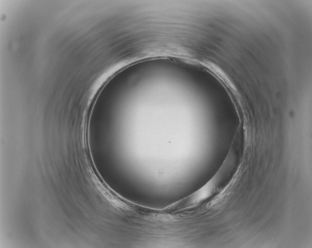 X0000059101246200510211624