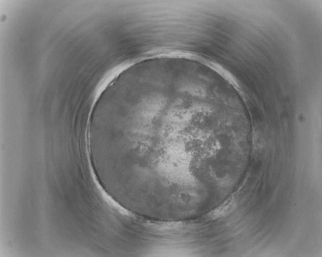 X0000059101247200510211624