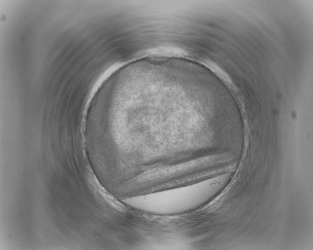 X0000059101248200510211624