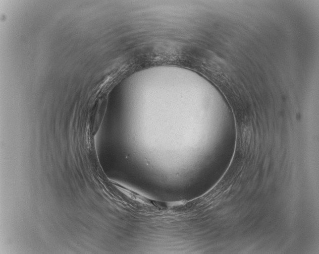 X0000059101250200510211624