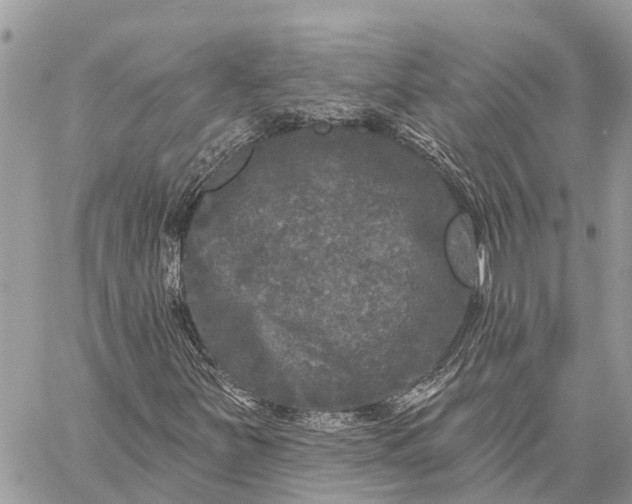 X0000059101251200510211624