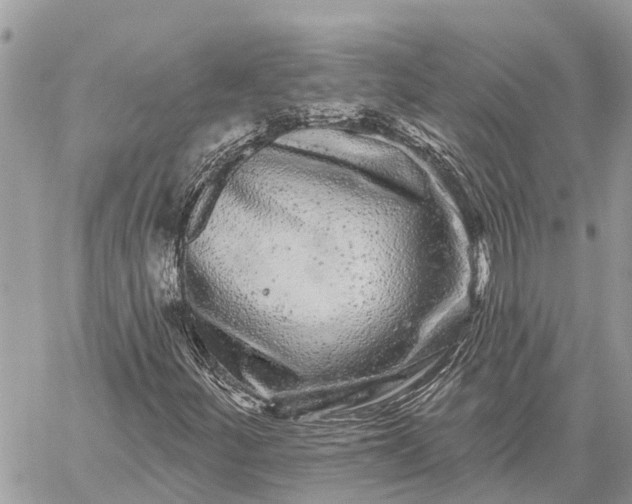 X0000059101252200510211623