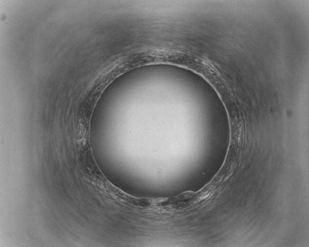 X0000059101253200510211623