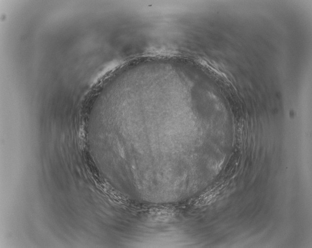 X0000059101254200510211623