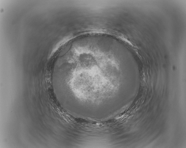 X0000059101255200510211623