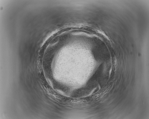 X0000059101256200510211623