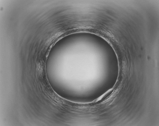 X0000059101257200510211623