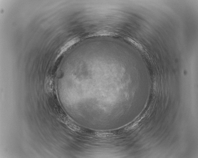 X0000059101258200510211623