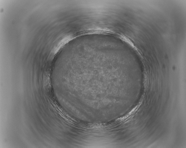 X0000059101259200510211623