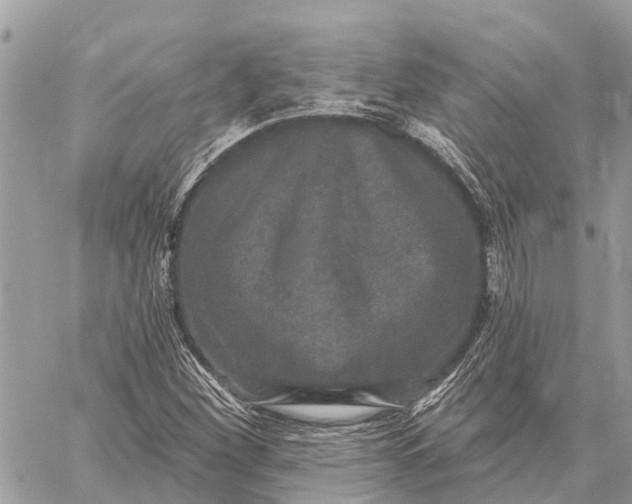 X0000059101260200510211623