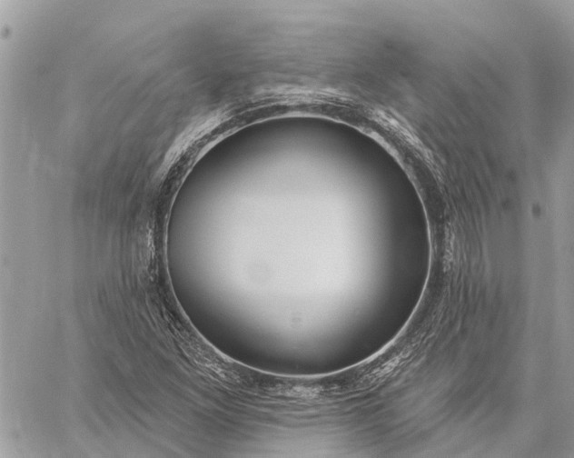 X0000059101261200510211623