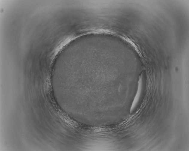 X0000059101263200510211623