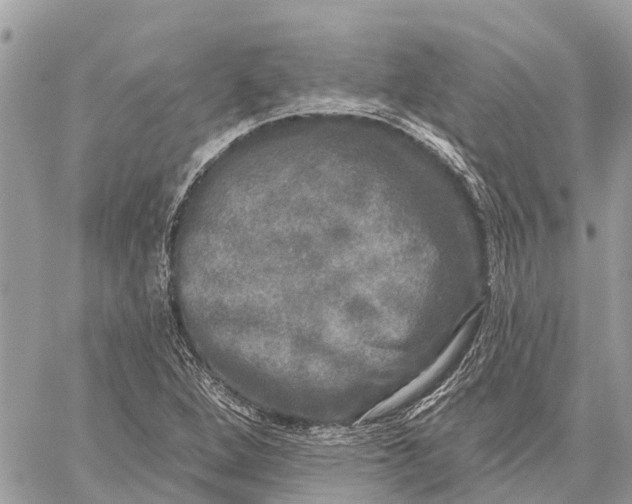 X0000059101264200510211623