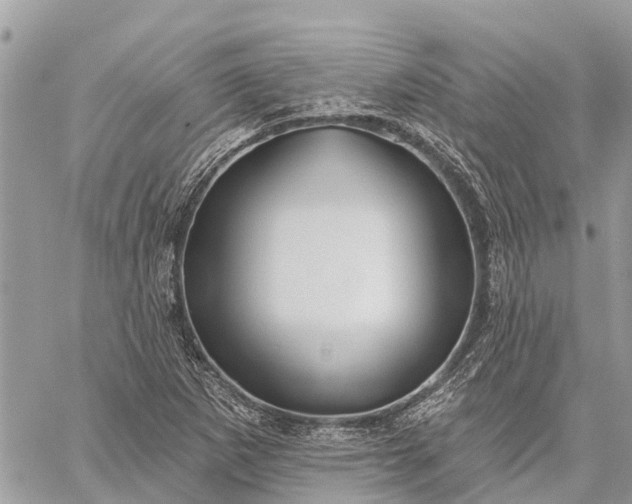 X0000059101265200510211623