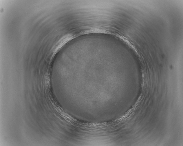 X0000059101266200510211623