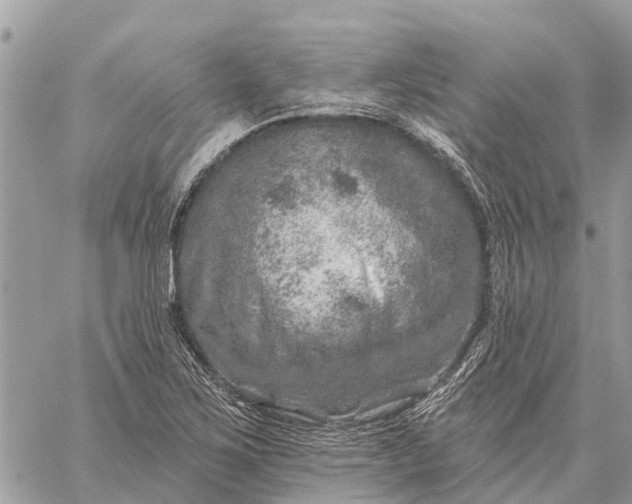 X0000059101267200510211623