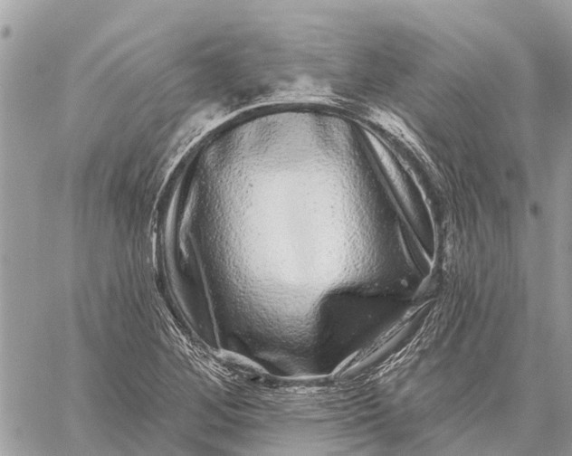 X0000059101268200510211623