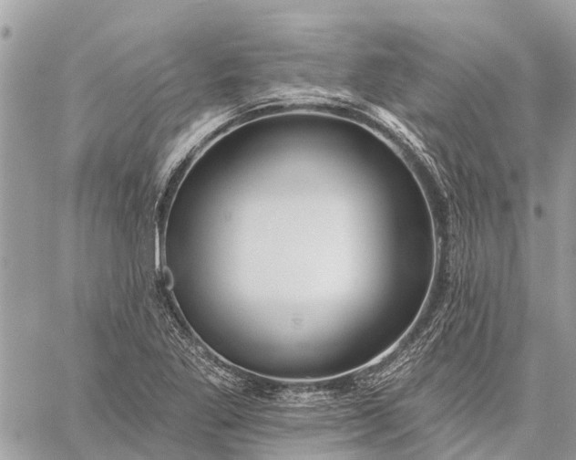 X0000059101269200510211623