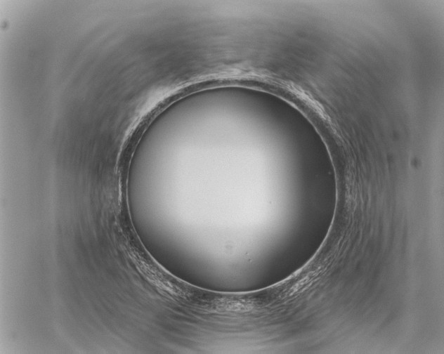 X0000059101270200510211623