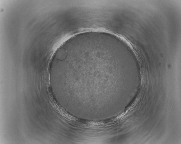 X0000059101271200510211623