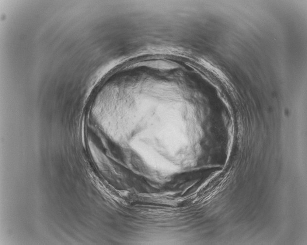 X0000059101272200510211623