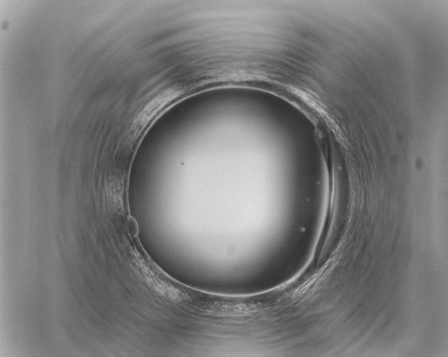 X0000059101273200510211623