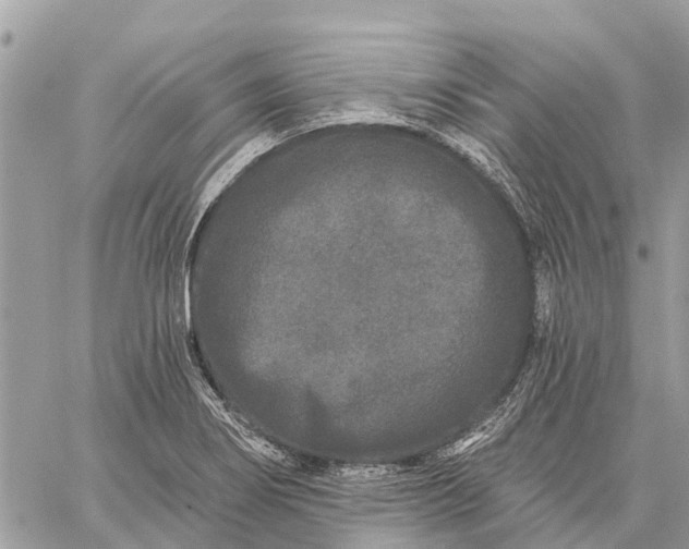 X0000059101274200510211623