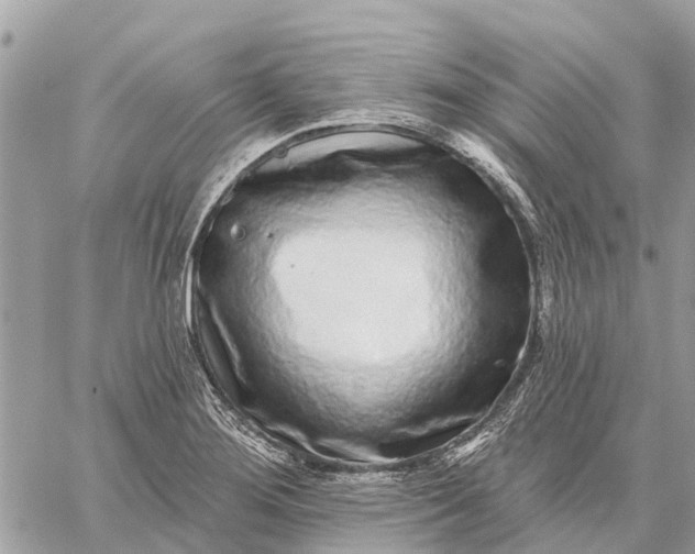 X0000059101276200510211623