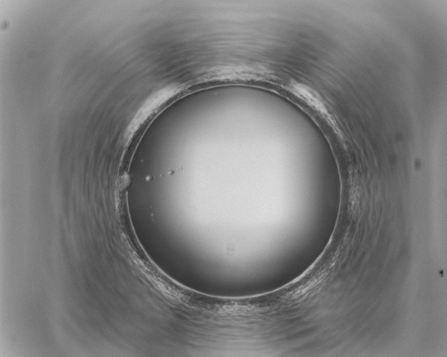 X0000059101277200510211623