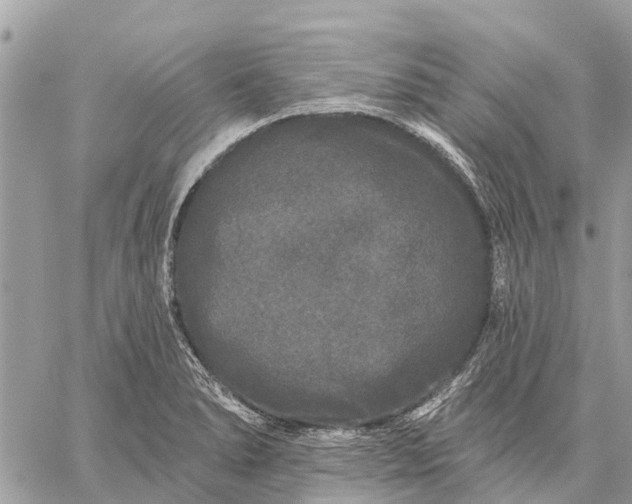 X0000059101278200510211623