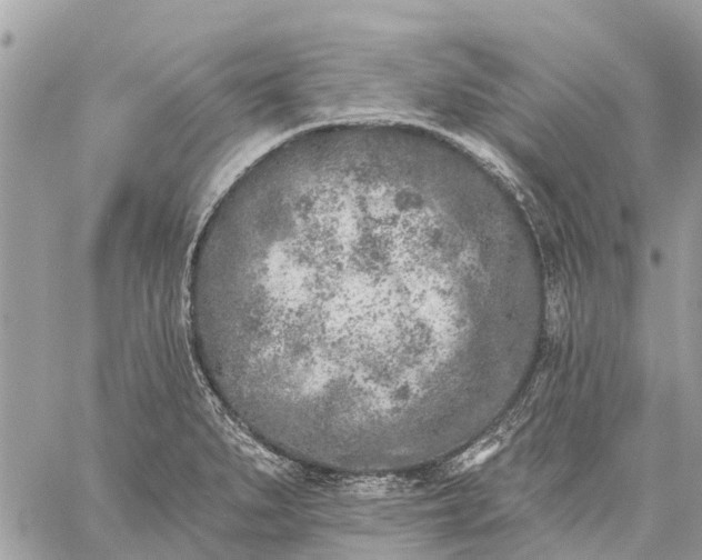 X0000059101279200510211623