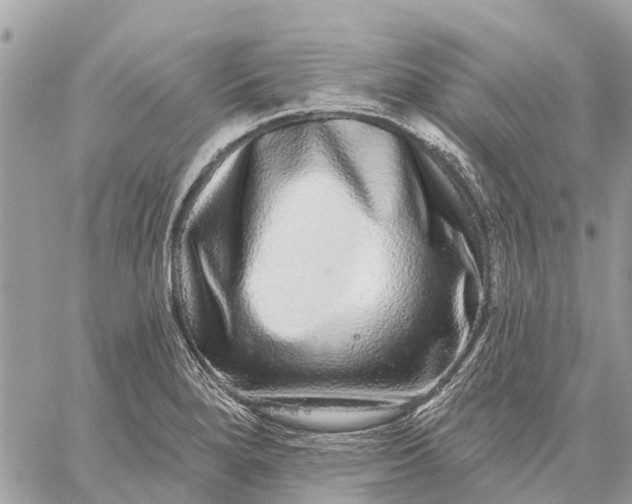 X0000059101280200510211623