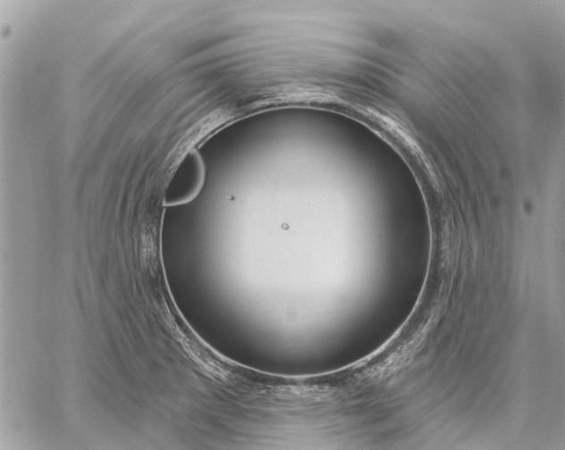 X0000059101281200510211623