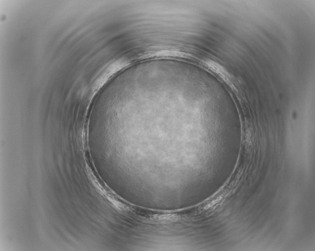 X0000059101282200510211623