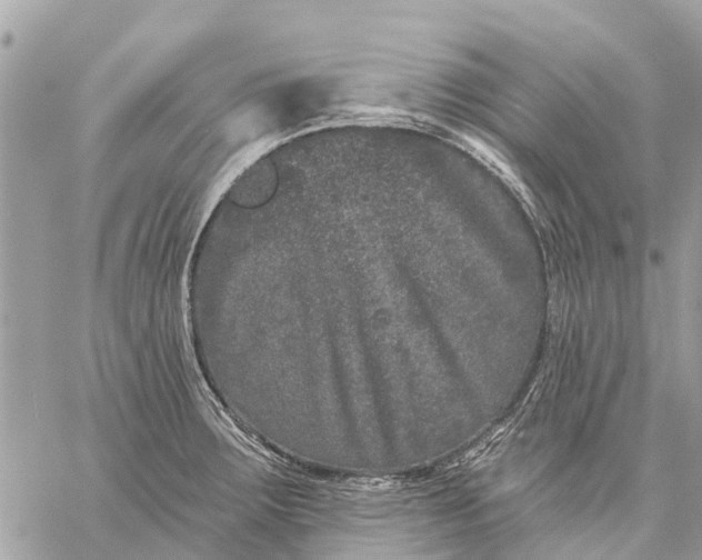 X0000059101283200510211623