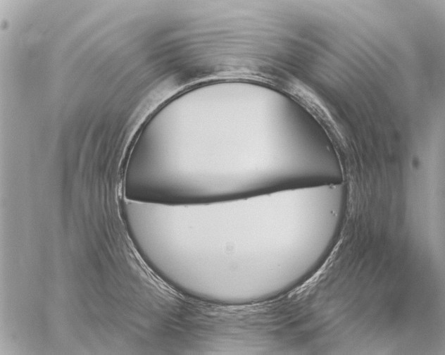 X0000059101284200510211623