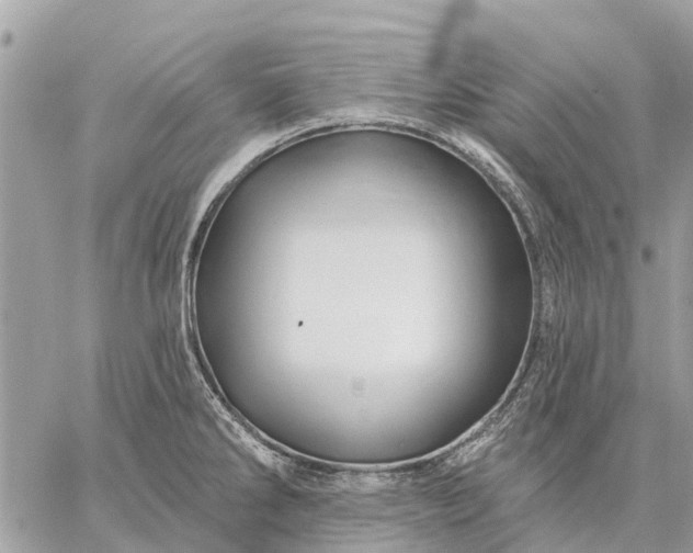 X0000059101286200510211623