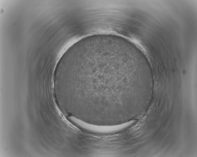 X0000059101287200510211623