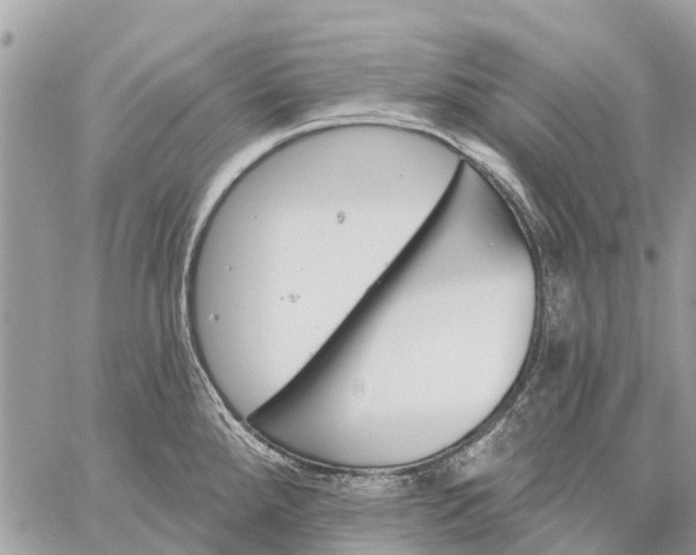 X0000059101288200510211623