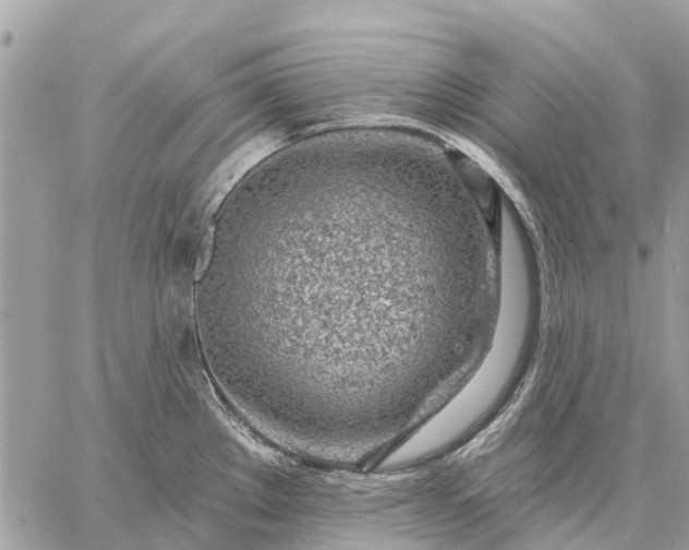 X0000059101289200510211623