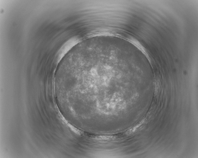 X0000059101290200510211623