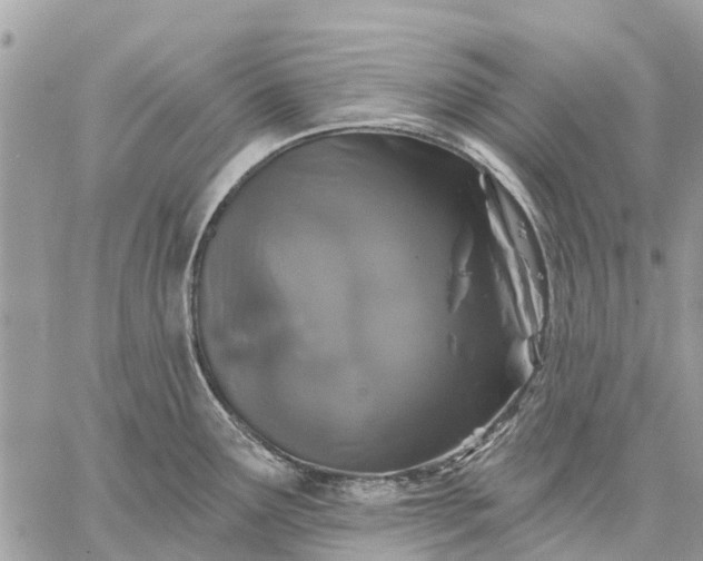 X0000059101291200510211623