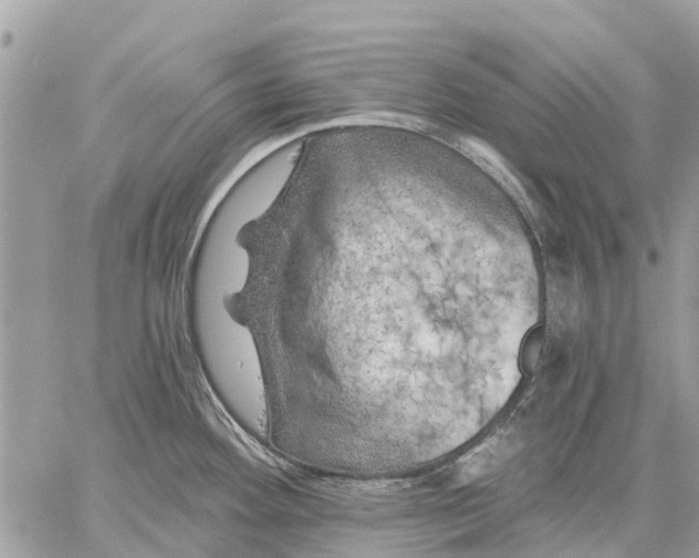 X0000059101292200510211623