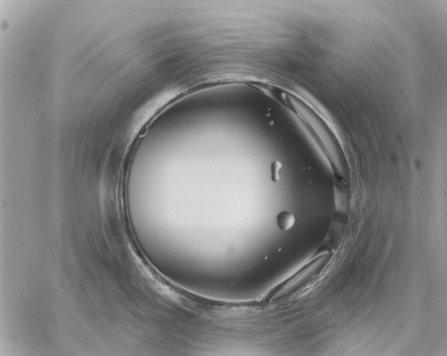 X0000059101293200510211623