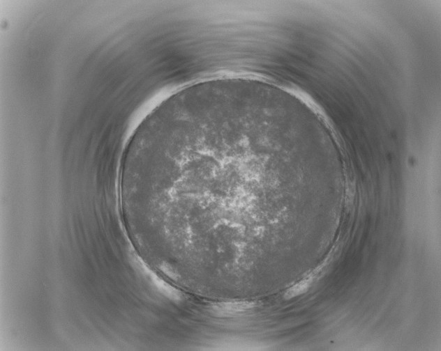 X0000059101294200510211623