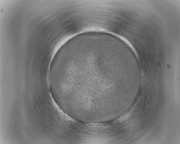 X0000059101295200510211623